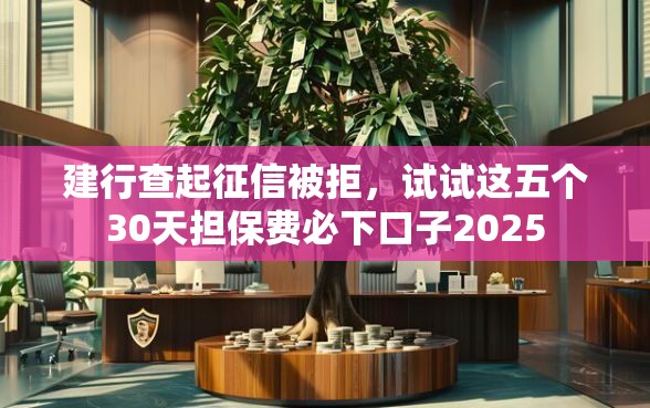 建行查起征信被拒，试试这五个30天担保费必下口子2025