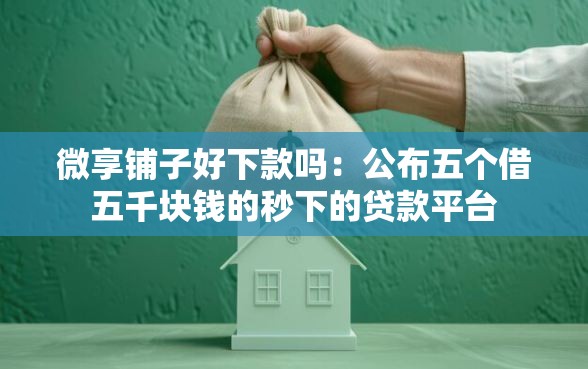 微享铺子好下款吗：公布五个借五千块钱的秒下的贷款平台