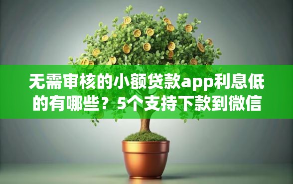 无需审核的小额贷款app利息低的有哪些？5个支持下款到微信的深圳网贷平台