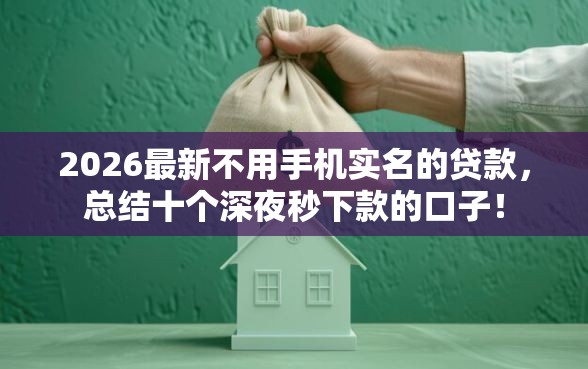 2026最新不用手机实名的贷款，总结十个深夜秒下款的口子！