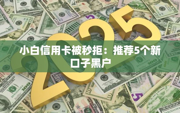 小白信用卡被秒拒：推荐5个新口子黑户