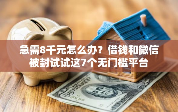 急需8千元怎么办？借钱和微信被封试试这7个无门槛平台