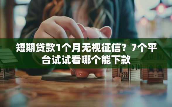 短期贷款1个月无视征信？7个平台试试看哪个能下款