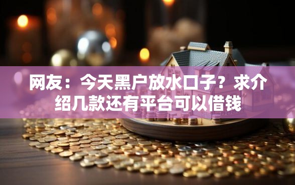 网友：今天黑户放水口子？求介绍几款还有平台可以借钱