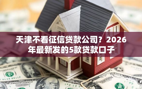 天津不看征信贷款公司？2026年最新发的5款贷款口子