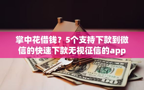 掌中花借钱？5个支持下款到微信的快速下款无视征信的app