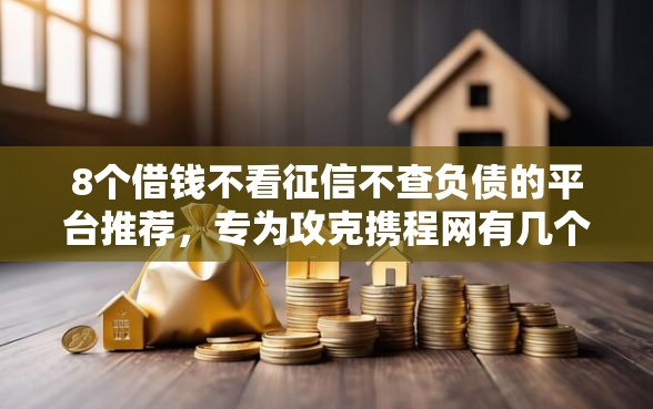 8个借钱不看征信不查负债的平台推荐，专为攻克携程网有几个借钱难题