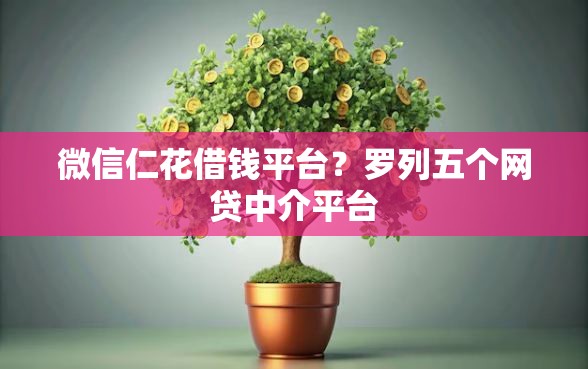微信仁花借钱平台？罗列五个网贷中介平台