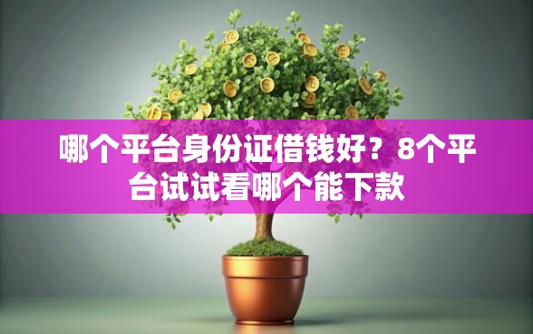 哪个平台身份证借钱好？8个平台试试看哪个能下款