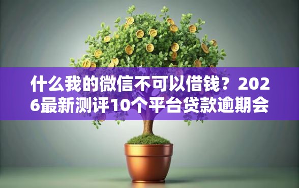 什么我的微信不可以借钱？2026最新测评10个平台贷款逾期会怎么样