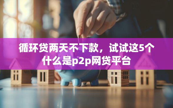 循环贷两天不下款，试试这5个什么是p2p网贷平台