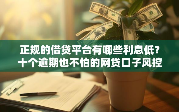 正规的借贷平台有哪些利息低？十个逾期也不怕的网贷口子风控不严的平台