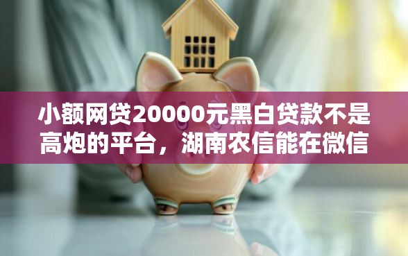 小额网贷20000元黑白贷款不是高炮的平台，湖南农信能在微信借钱吗的7个平台介绍