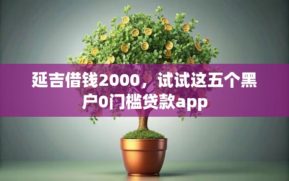 延吉借钱2000，试试这五个黑户0门槛贷款app