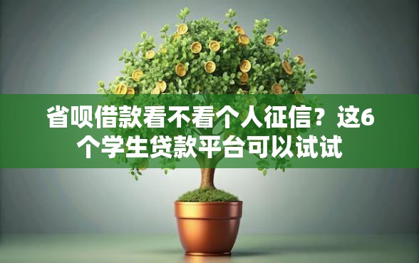 省呗借款看不看个人征信？这6个学生贷款平台可以试试