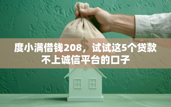 度小满借钱208，试试这5个贷款不上诚信平台的口子