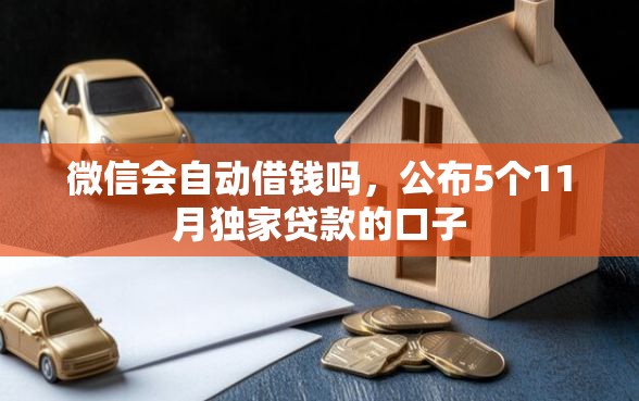 微信会自动借钱吗，公布5个11月独家贷款的口子
