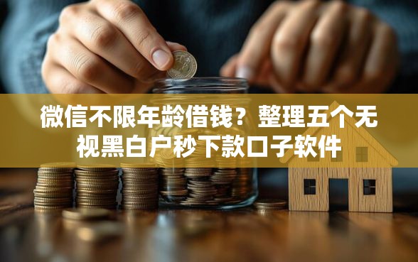 微信不限年龄借钱？整理五个无视黑白户秒下款口子软件