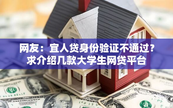 网友：宜人贷身份验证不通过？求介绍几款大学生网贷平台