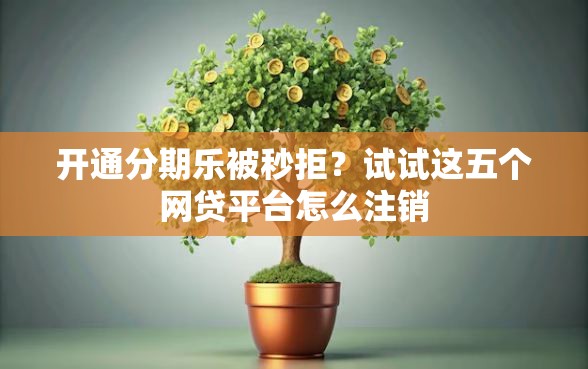 开通分期乐被秒拒？试试这五个网贷平台怎么注销