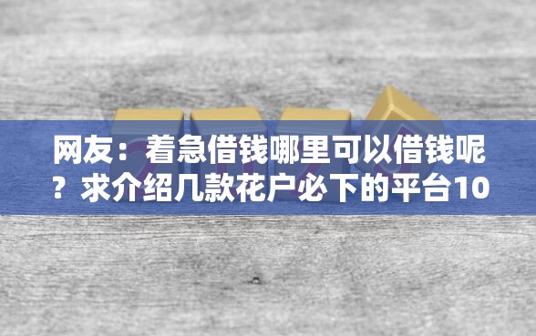 网友：着急借钱哪里可以借钱呢？求介绍几款花户必下的平台100%通过率