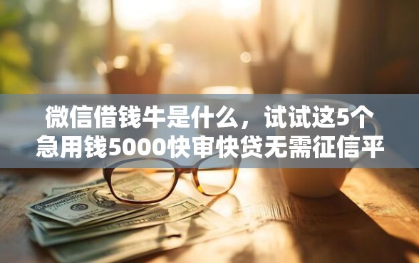 微信借钱牛是什么，试试这5个急用钱5000快审快贷无需征信平台