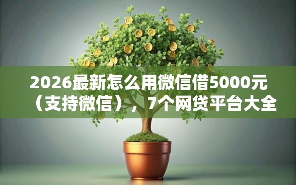 2026最新怎么用微信借5000元（支持微信），7个网贷平台大全无私分享