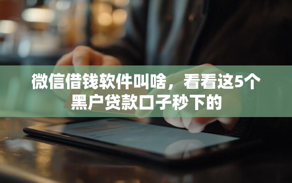 微信借钱软件叫啥，看看这5个黑户贷款口子秒下的