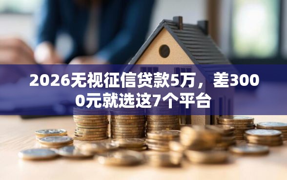 2026无视征信贷款5万，差3000元就选这7个平台