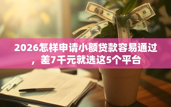 2026怎样申请小额贷款容易通过，差7千元就选这5个平台