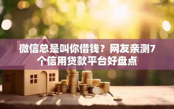 微信总是叫你借钱？网友亲测7个信用贷款平台好盘点