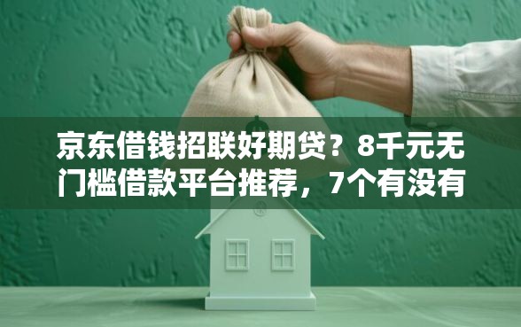 京东借钱招联好期贷？8千元无门槛借款平台推荐，7个有没有不查征信的贷款平台盘点