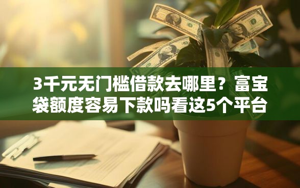 3千元无门槛借款去哪里？富宝袋额度容易下款吗看这5个平台