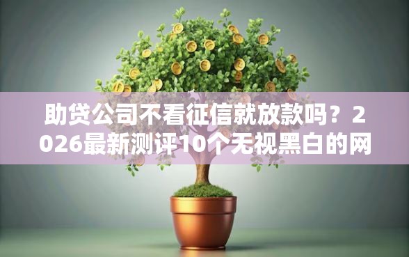 助贷公司不看征信就放款吗？2026最新测评10个无视黑白的网贷口子