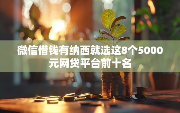 微信借钱有纳西就选这8个5000元网贷平台前十名