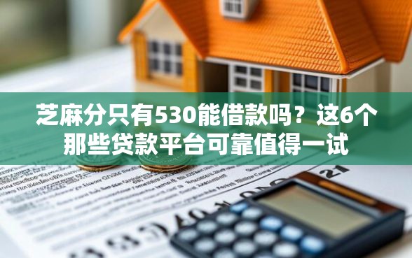 芝麻分只有530能借款吗？这6个那些贷款平台可靠值得一试