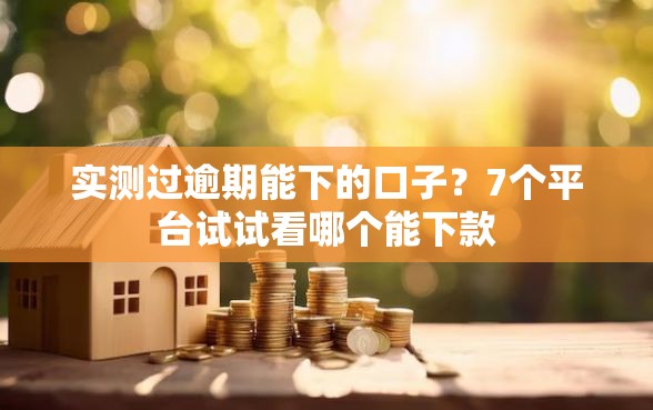 实测过逾期能下的口子？7个平台试试看哪个能下款