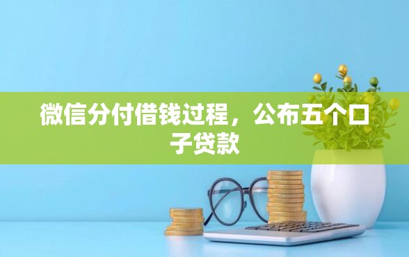 微信分付借钱过程，公布五个口子贷款