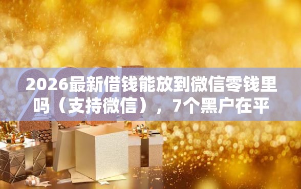2026最新借钱能放到微信零钱里吗（支持微信），7个黑户在平台可以借款无私分享