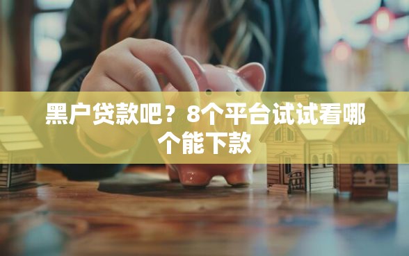 黑户贷款吧？8个平台试试看哪个能下款