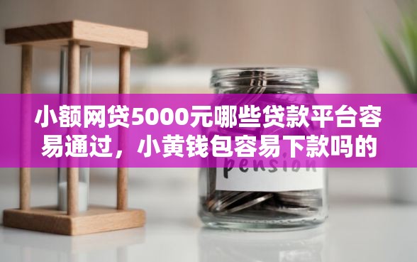 小额网贷5000元哪些贷款平台容易通过，小黄钱包容易下款吗的6个平台介绍