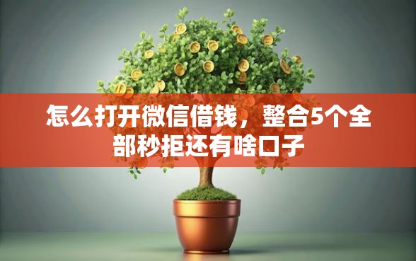 怎么打开微信借钱，整合5个全部秒拒还有啥口子