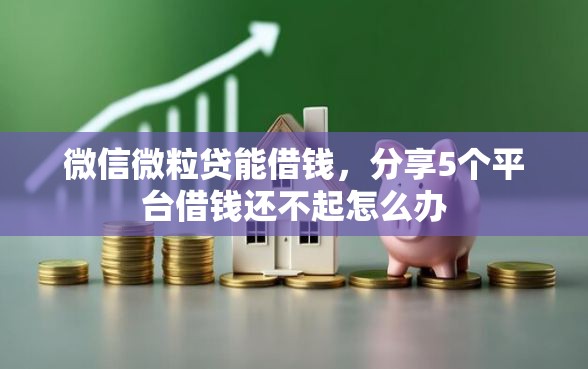 微信微粒贷能借钱，分享5个平台借钱还不起怎么办