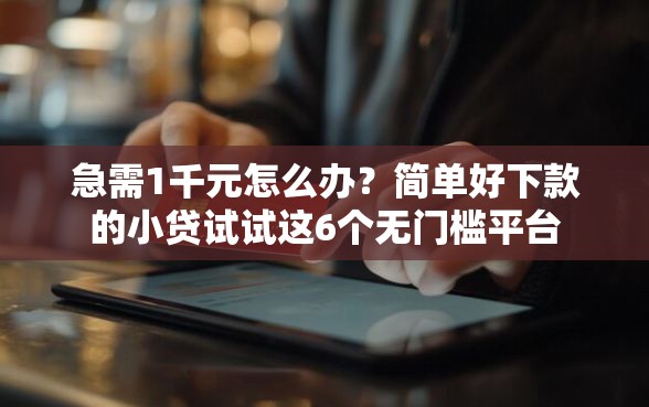 急需1千元怎么办？简单好下款的小贷试试这6个无门槛平台