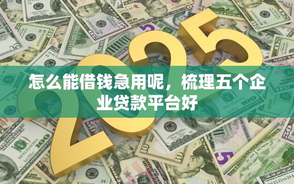怎么能借钱急用呢，梳理五个企业贷款平台好
