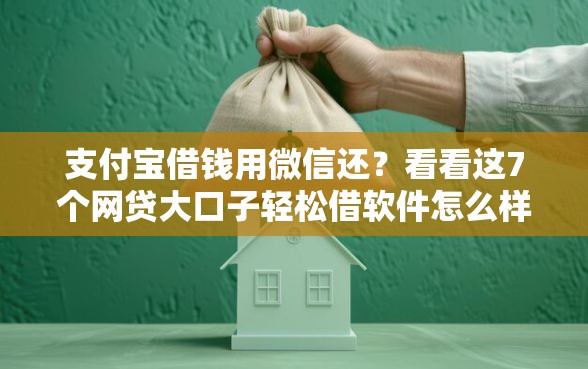 支付宝借钱用微信还？看看这7个网贷大口子轻松借软件怎么样