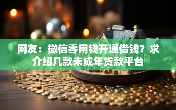 网友：微信零用钱开通借钱？求介绍几款未成年贷款平台