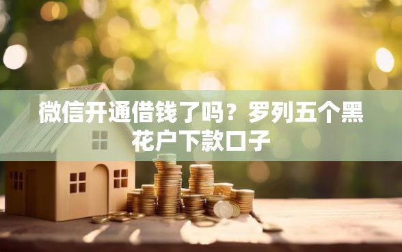 微信开通借钱了吗？罗列五个黑花户下款口子