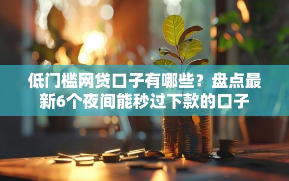 低门槛网贷口子有哪些？盘点最新6个夜间能秒过下款的口子