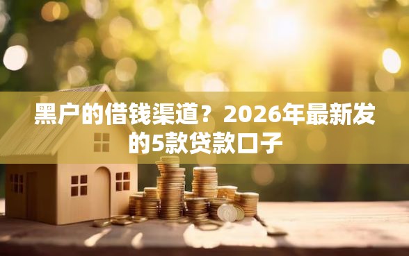 黑户的借钱渠道？2026年最新发的5款贷款口子